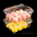 Disposable Plastic Fresh Food Fruit Container Packaging